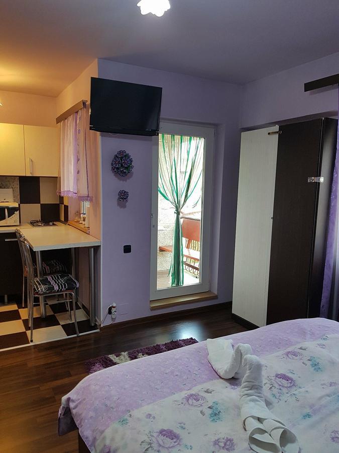 Garsoniera Cristina Apartment Baile Felix Exterior photo
