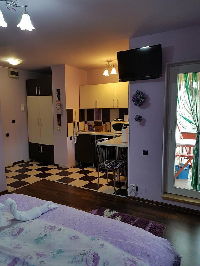 Garsoniera Cristina Apartment Baile Felix Exterior photo