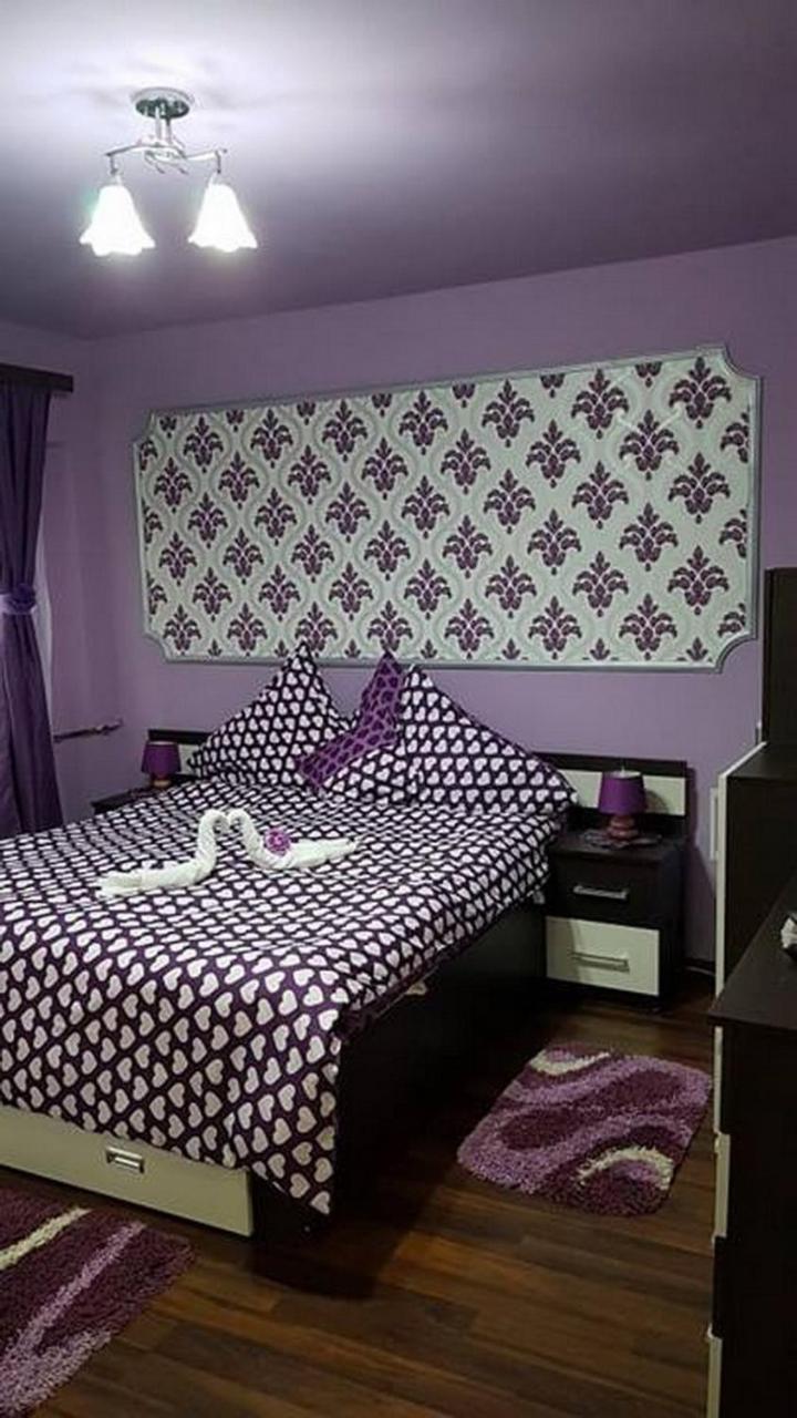 Garsoniera Cristina Apartment Baile Felix Exterior photo