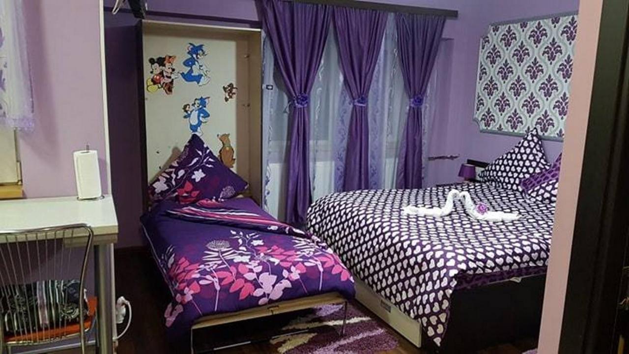 Garsoniera Cristina Apartment Baile Felix Exterior photo